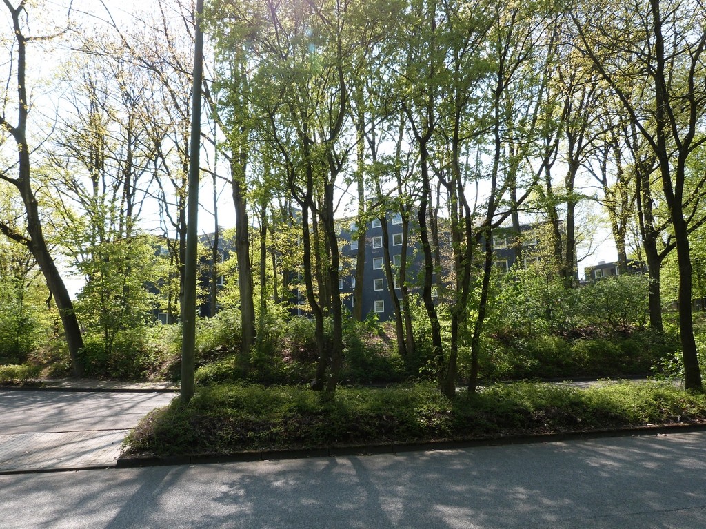 Immeubles entourés d’arbres, Wulfen-Barkenberg, Dorsten