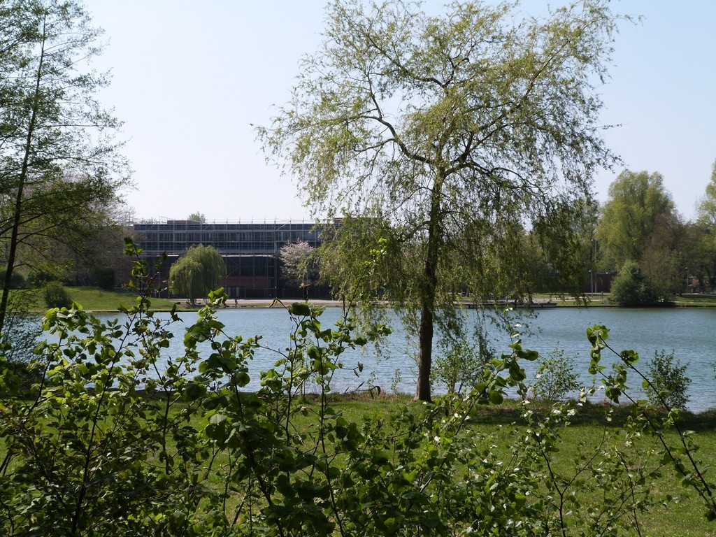 Lac proche d'un établissement scolaire de Wulfen-Barkenberg, Dorsten.