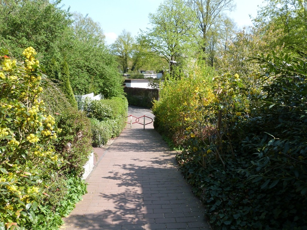 Sentier à Wulfen-Barkenberg, Dorsten